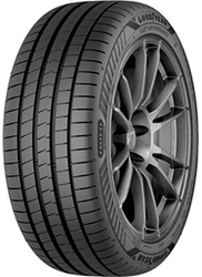 205/65YR17  GOODYEAR TL F1 ASYM 6 FP XL            (EU) 100Y