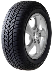   205/65HR15  MAXXIS TL WP05 XL                    (NEU) 99H